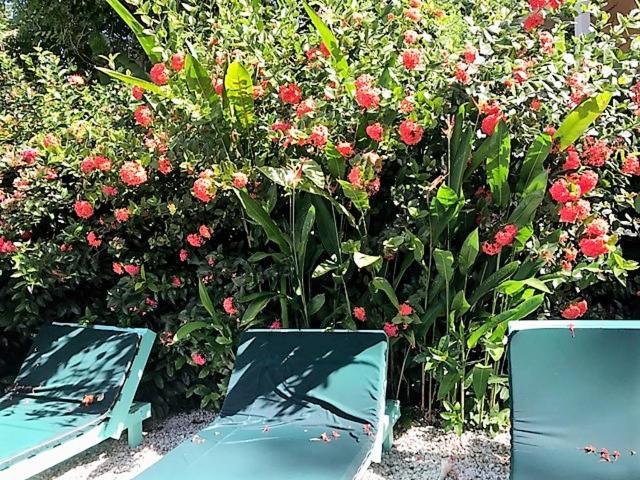 Tobago Hibiscus Golf Villas & Appartments Mount Irvine Esterno foto