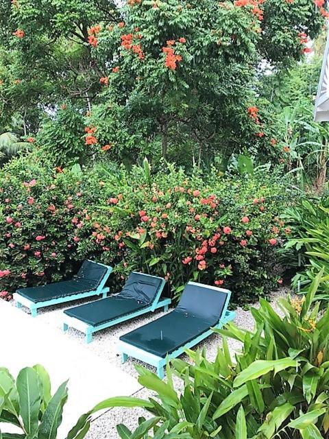 Tobago Hibiscus Golf Villas & Appartments Mount Irvine Esterno foto